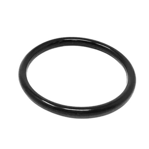 ACCESSORIES – ABC Fire Extinguisher Valve O Ring | Minimum Order Quantity-50