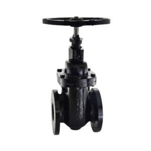 ZOLOTO - 250mm Sluice Valve Non Rising Spindle