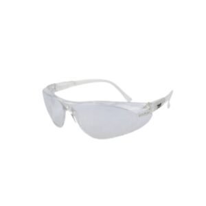 Raga PG-60 clear Lens Safety Goggles